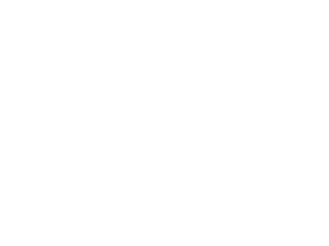 Animaze